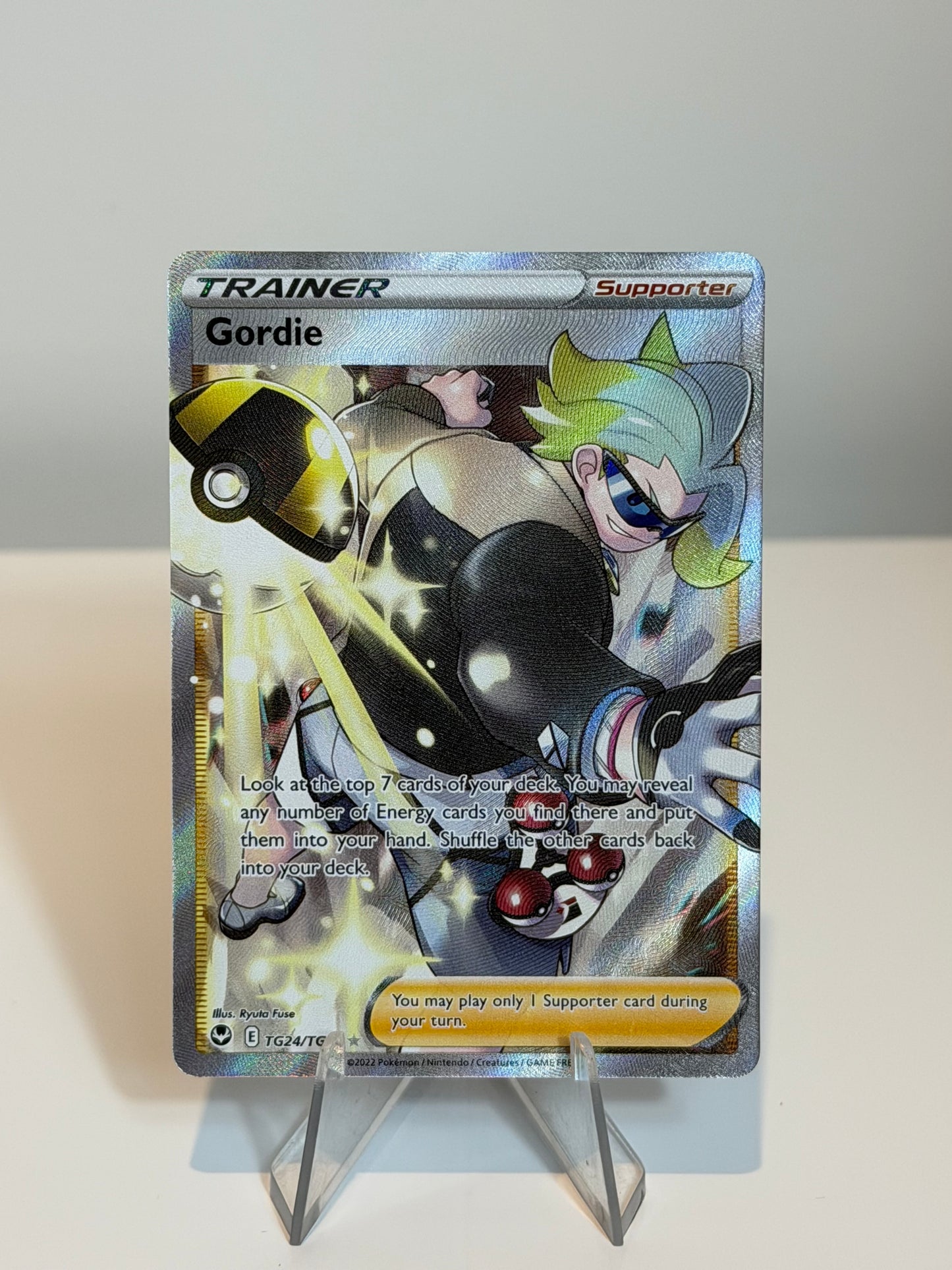 Silver Tempest- Gordie - TG24/TG30