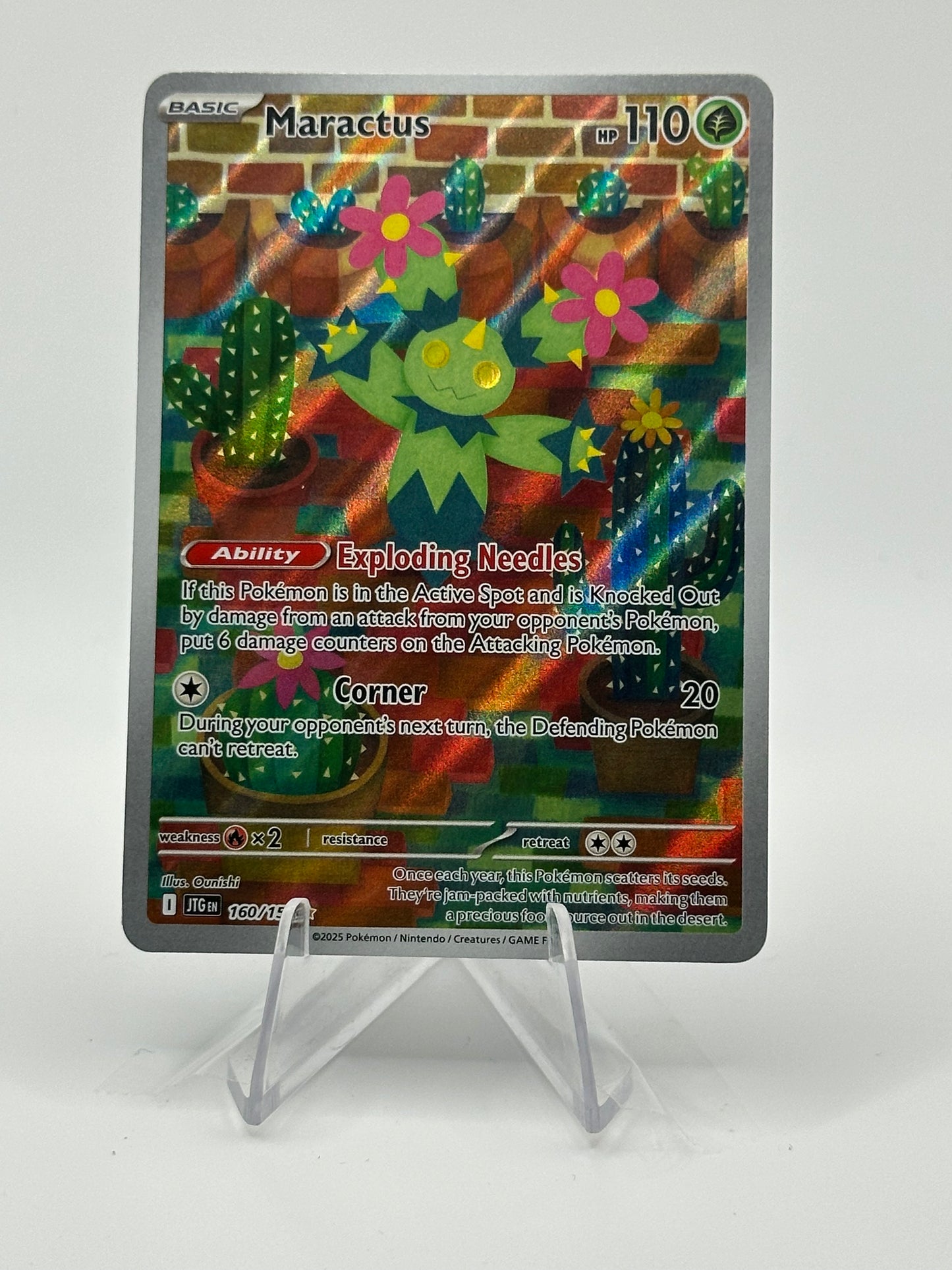 Journey Together- Maractus- 160/159