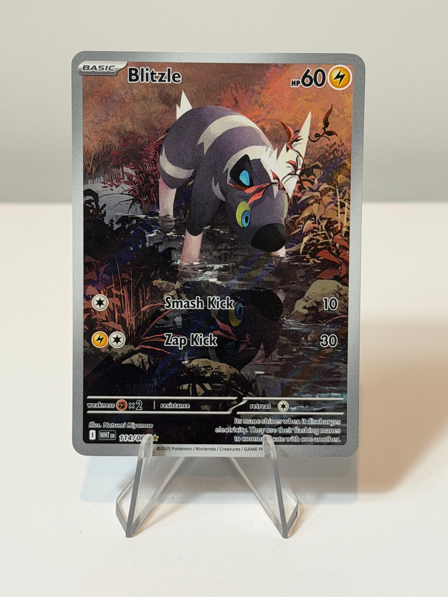 White Flare (English)- Blitzle- 114/086