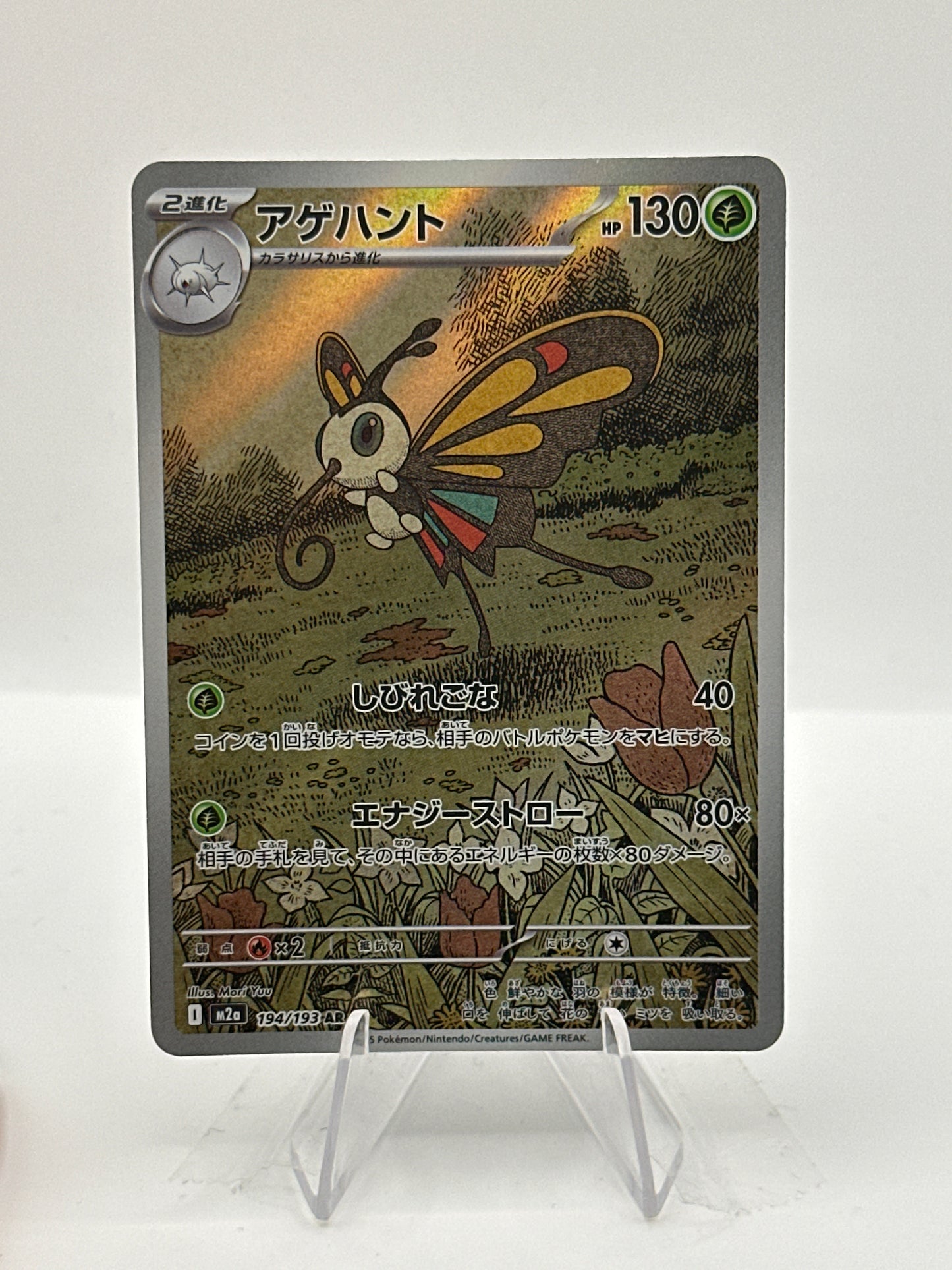 Mega Dream -Beautifly- 194/193