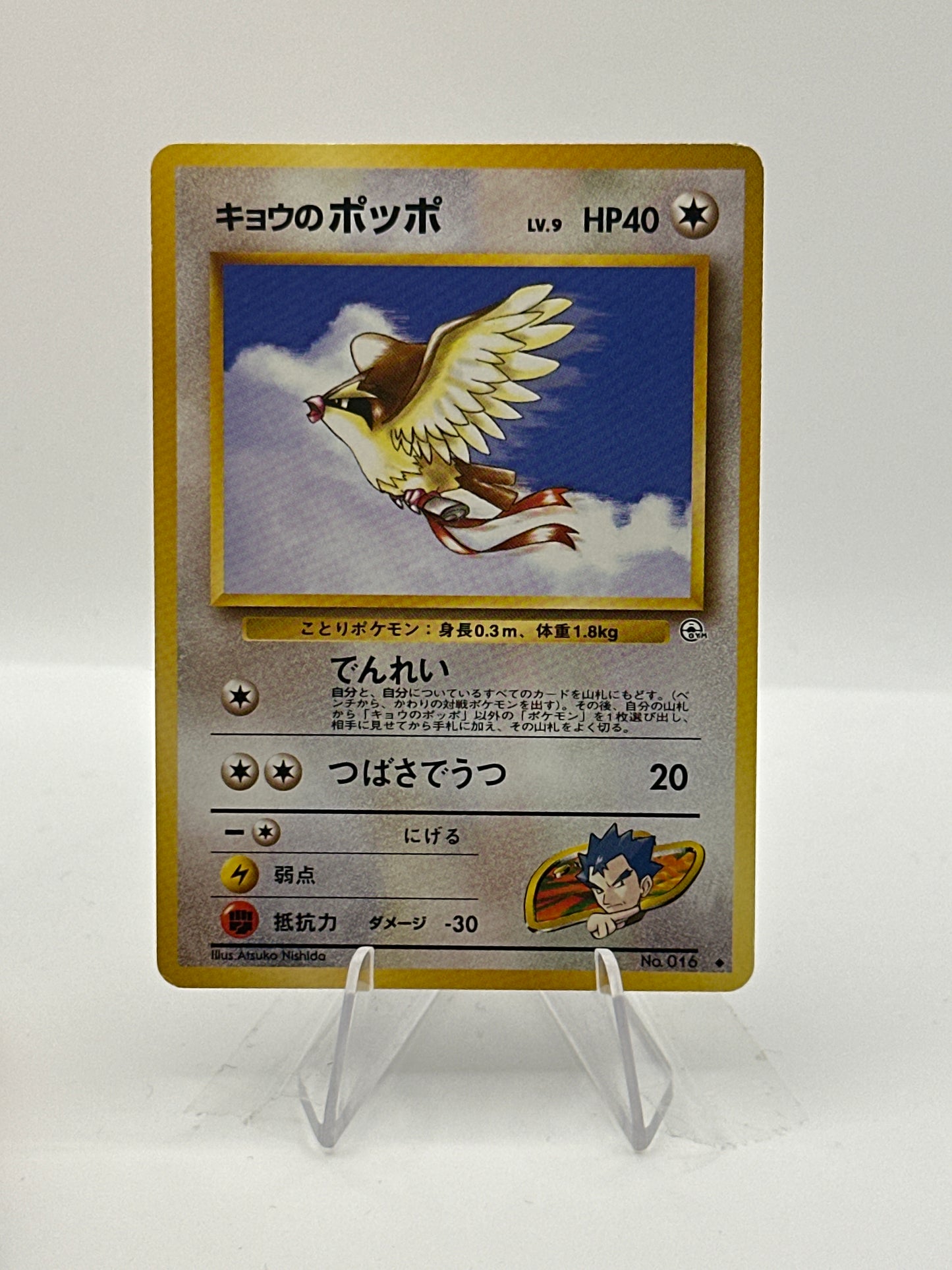 Gym Challenge - Koga’s Pidgey- 016