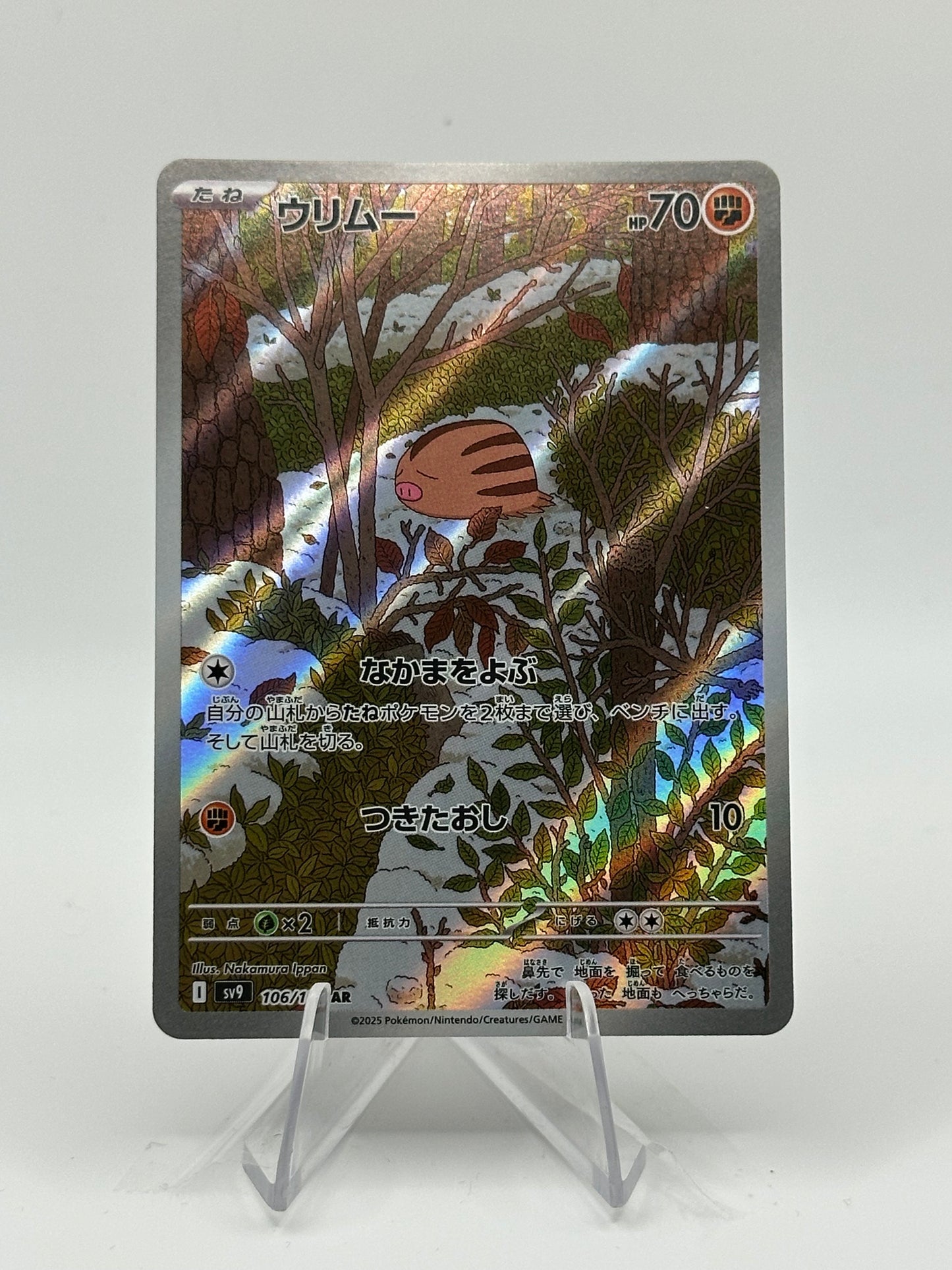 Battle Partners- Swinub- 106/100