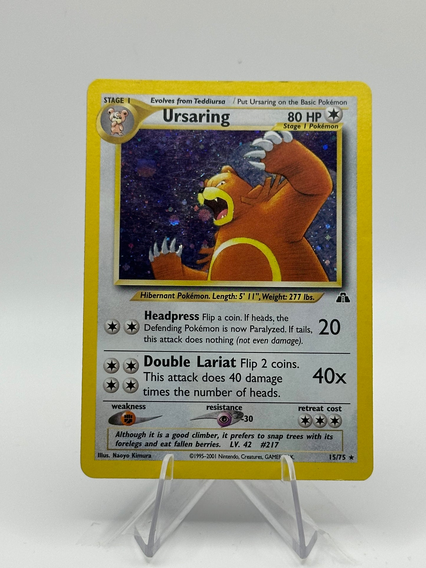 Neo Discovery- Ursaring - 15/75 (LP)