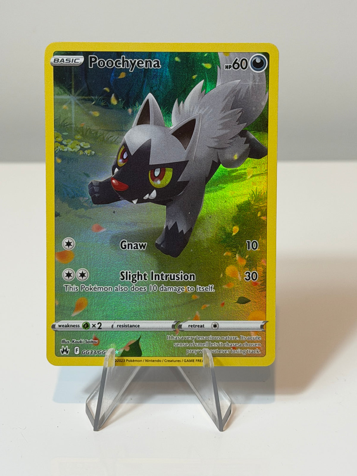 Crown Zenith -Poochyena -GG33/GG70