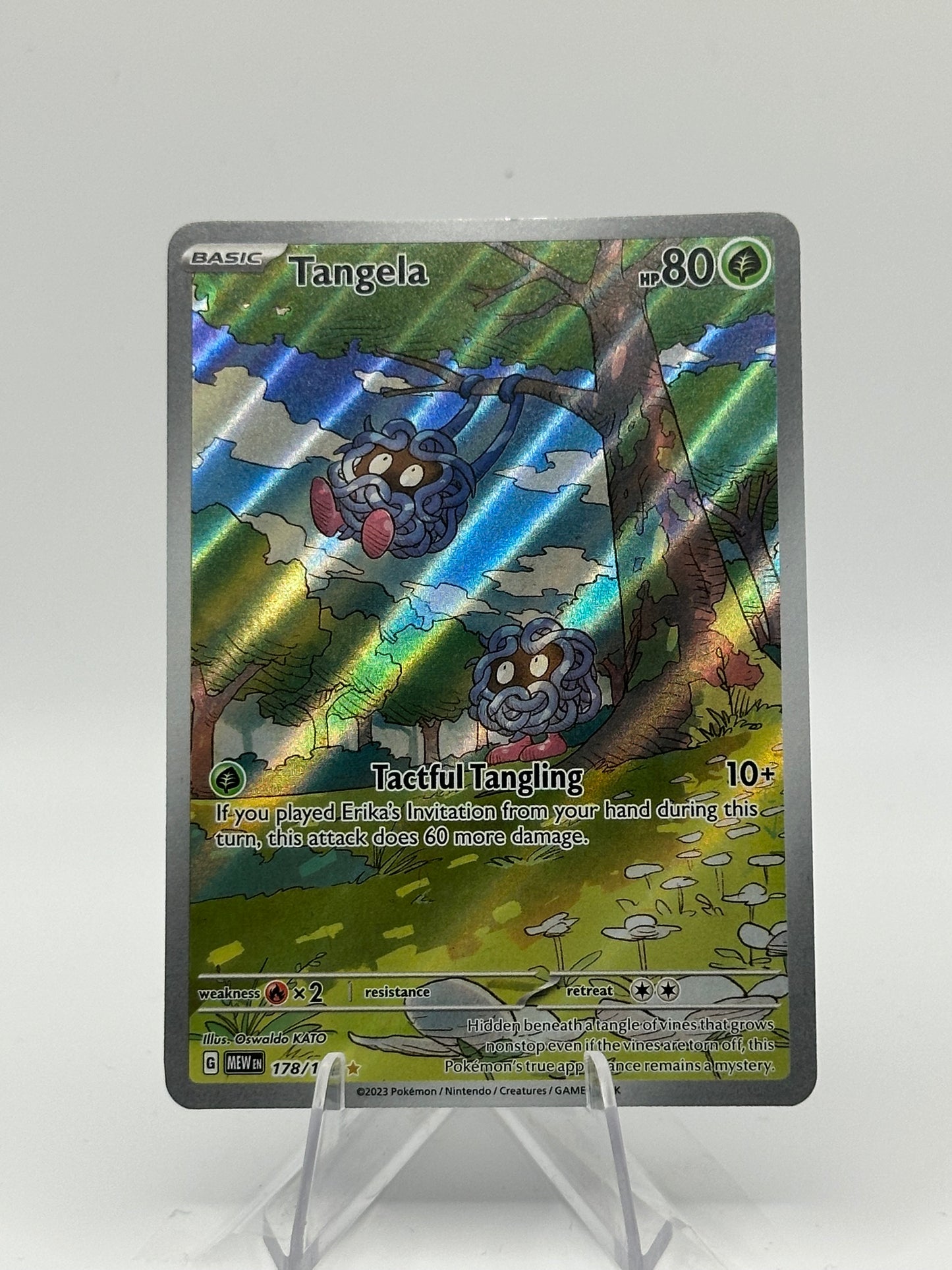 151 English  - Tangela - 178/165
