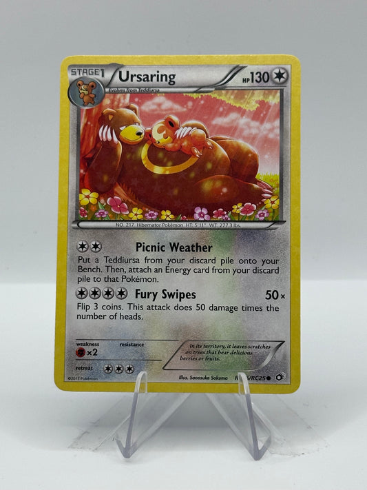 Generations~ Radiant Collection - Ursaring- RC16/RC32 (lightly played)